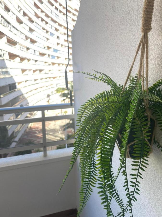 Vive El Mediterraneo - Apartamento Con Piscina En 库列拉 外观 照片